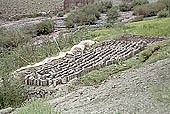 Ladakh - bricks of sun dried mud